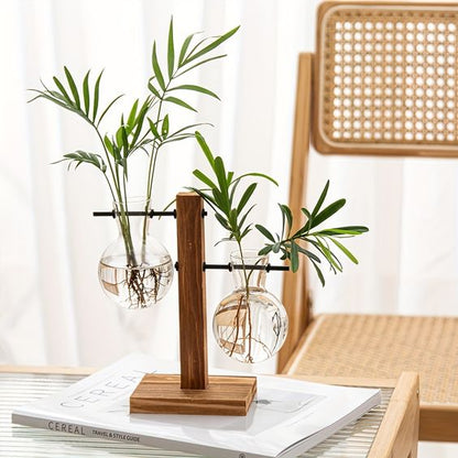 Transparent Bulb Planter with Natural Wood Base for Hydroponics & Fresh Cuttings | Tabletop Desktop Display Stand | Minimalist Home Office D