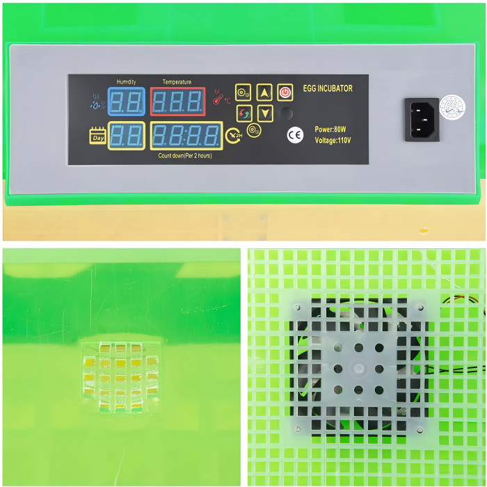 Automatic 56-Egg Incubator with Digital Display & Auto-Turn for Chickens, Ducks, Quail & Geese