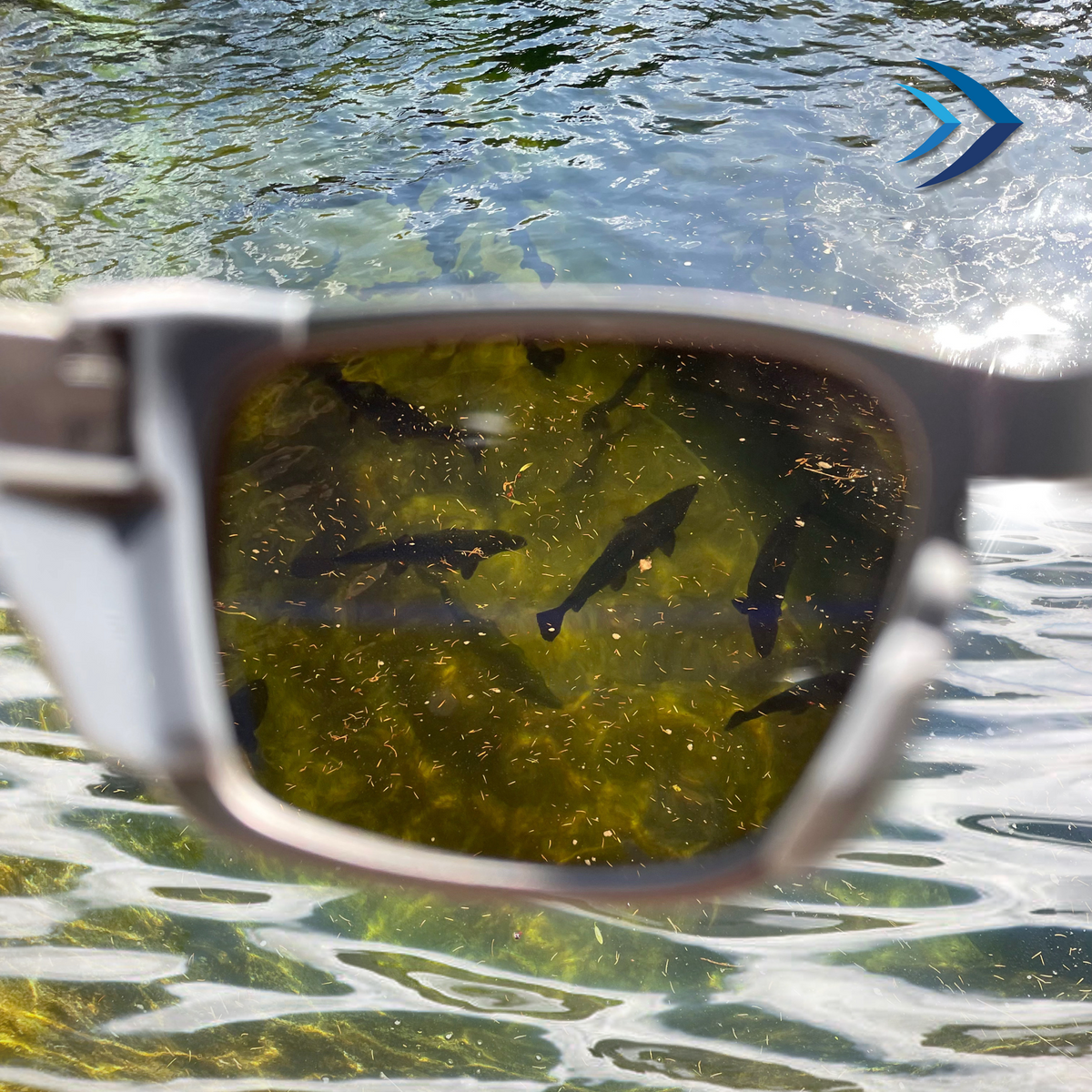 AquaVision Fishing Glasses
