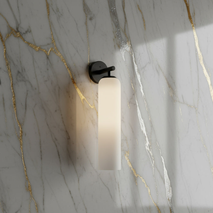 Contemporary Glass Globe Wall Sconce with LED Bulb for Bedroom Dining Room Bathroom Foyer Kitchen Study