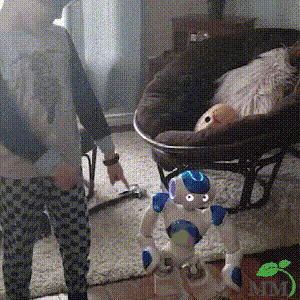 Interactive Gesture-Control Robot for Kids – Dancing, Musical Learning Toy with Voice & Programming | Educational STEM Playtime Companion