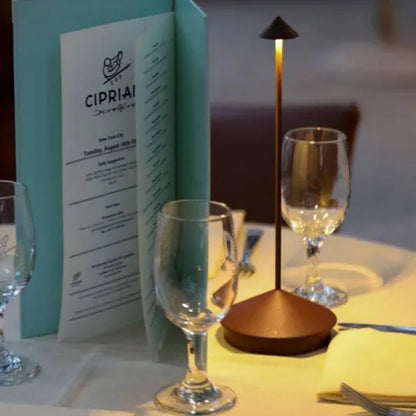 Rechargeable LED Desk Lamp with Dimmer - Cordless Aluminum Light for Patio, Dining & Bedside - 11.4 in Tall, 2700K Warm Glow, USB Powered fo
