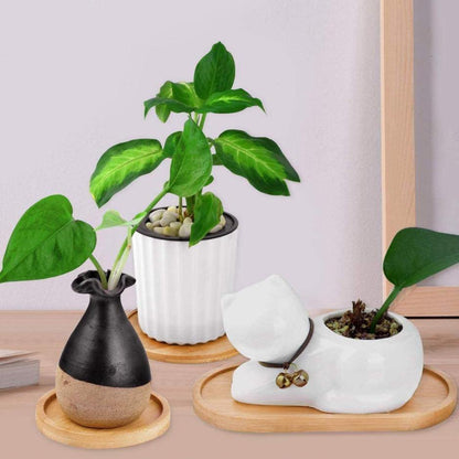 Bamboo Planter Saucer Trays