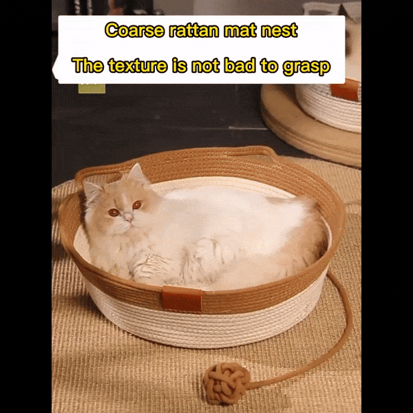 CoolPaws | Cooling Cat Bed with Hand-Woven Design | Breathable Comfort for Summer Relaxation