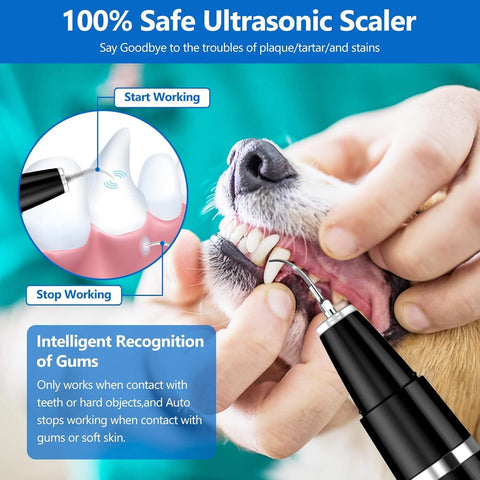 Nettoyeur de dents pour chien à ultrasons, détartreur dentaire rechargeable pour chien, outil de nettoyage dentaire pour chien contre la plaque dentaire