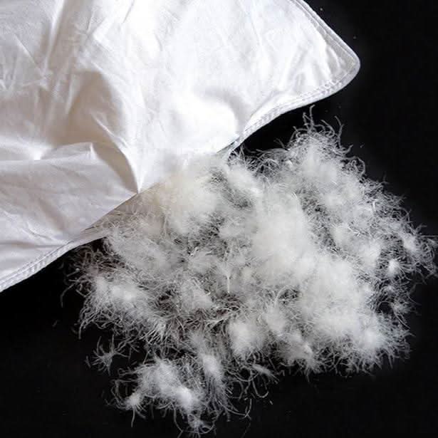 Couette en coton luxueux | Tissu respirant pour un confort tout au long de l'année | Garnissage de couette format King