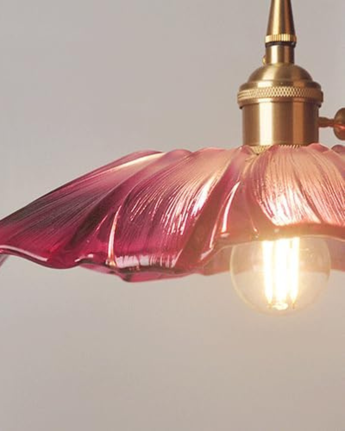 Glass Pendant Light with Brass Socket and Organic Petal Shape for Dining Room and Living Space