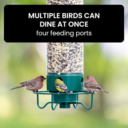 Weighted Rotating Perch Wild Bird Feeder with Anti-Rodent Spin Mechanism for Cardinals, Finches, Chickadees | Hanging Outdoor Seed Station