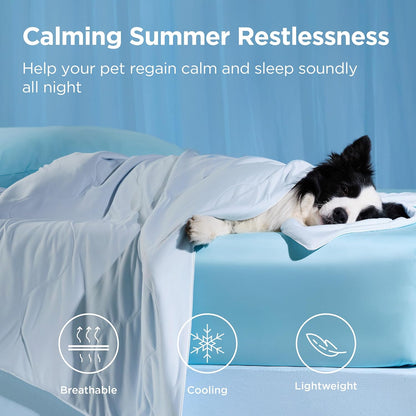 Cozy Paws | Couverture rafraîchissante pour grands chiens avec garnissage respirant Air-Core | Tapis pour chien léger et lavable pour le confort estival