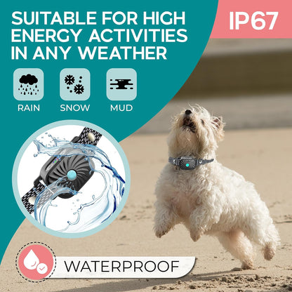 Collier anti-aboiement à vibration pour petits chiens et chiots – Sangle réglable de 15 à 50 cm, 4 niveaux, étanche IP87, autonomie de 30 jours