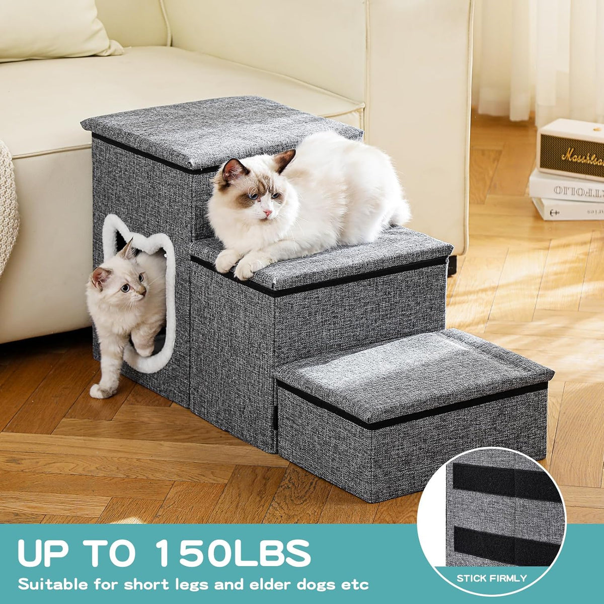 Pet Haven | Escaliers antidérapants pour chiens en 3 étapes avec rangement | Accès facile pour petits chiens et chats