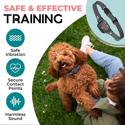 Collier anti-aboiement à vibration pour petits chiens et chiots – Sangle réglable de 15 à 50 cm, 4 niveaux, étanche IP87, autonomie de 30 jours