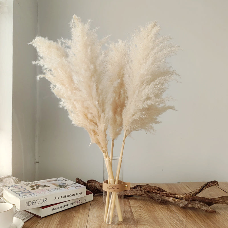 Tiges d'herbe de la pampa naturelle et duveteuse pour vases | Accents floraux séchés de 40 à 76 cm pour décoration d'étagère de salon, centres de table d'événements, style bohème