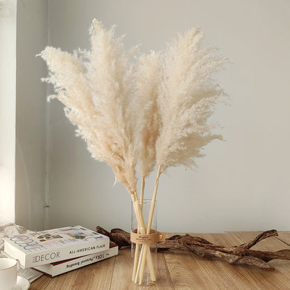 Tiges d'herbe de la pampa naturelle et duveteuse pour vases | Accents floraux séchés de 40 à 76 cm pour décoration d'étagère de salon, centres de table d'événements, style bohème