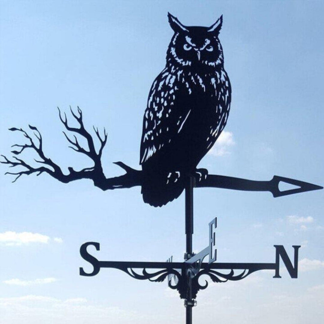 Decorative Weather Vane for Yard – Stainless Steel Wind Direction Indicator, Weatherproof Garden Accent
