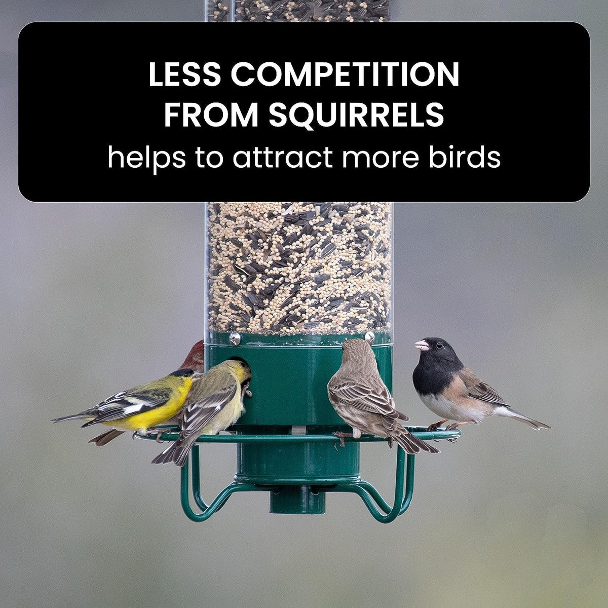 Weighted Rotating Perch Wild Bird Feeder with Anti-Rodent Spin Mechanism for Cardinals, Finches, Chickadees | Hanging Outdoor Seed Station