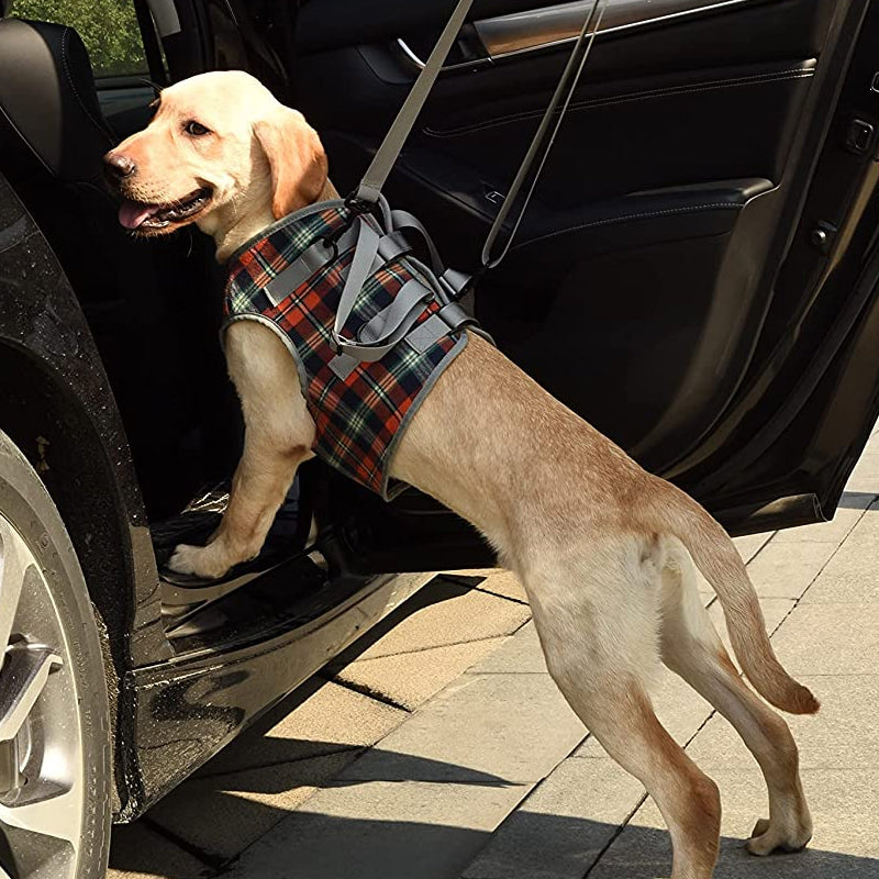 Rear Leg Support Harness for Dogs – Adjustable Lift Sling for Hip Stability, Arthritis & Mobility Assistance