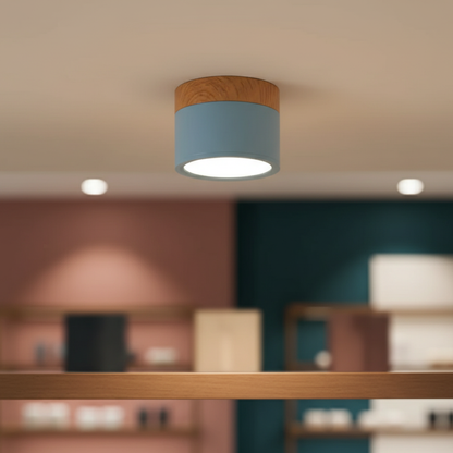 Modern Flush Mount Ceiling Light | Energy-Efficient LED Fixture with Sleek Design | Ideal for Contemporary Spaces