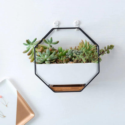 Hexa Frame Wall Planter