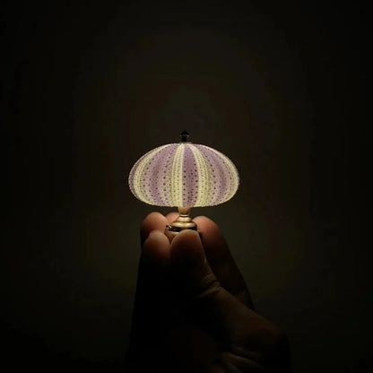Sea Urchin Shell Night Light with Gold-Tone Base – Coastal Accent Lamp for Bedroom, Living Room & Nursery