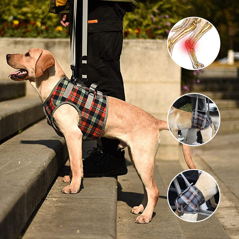 Rear Leg Support Harness for Dogs – Adjustable Lift Sling for Hip Stability, Arthritis & Mobility Assistance