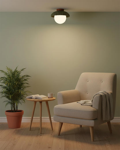 Adjustable Metal Flush Mount Ceiling Light 9.8 in Diameter Multi-Directional Indoor Lamp for Living Room Bedroom Hallway Kitchen Bathroom Lo
