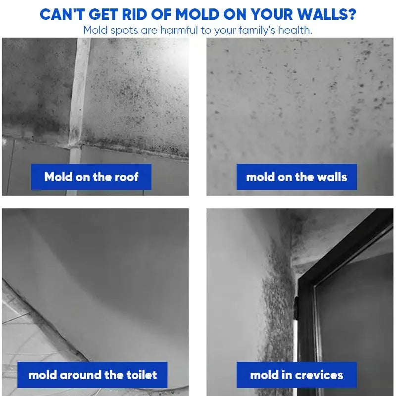 Mold Remover Spray for Walls, Tile Grout & Wood – Fast-Acting Odor Eliminator for Bathrooms, Basements & Kitchens