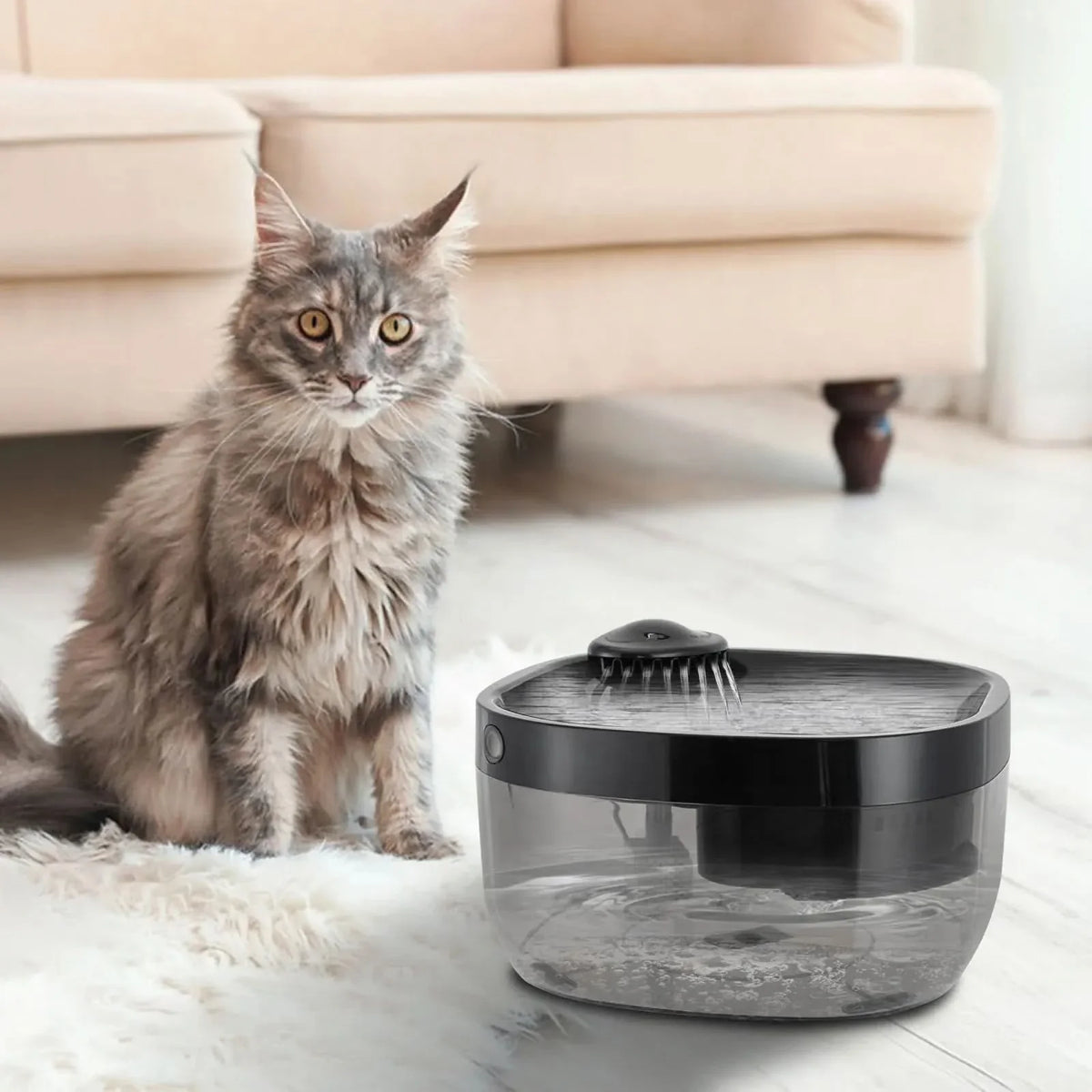 PETFLOW – Wireless Pet Water Fountain for Cats & Dogs