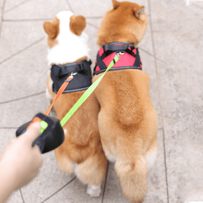 Dual Retractable Dog Leash with LED Flashlight for Walking Two Pets Simultaneously