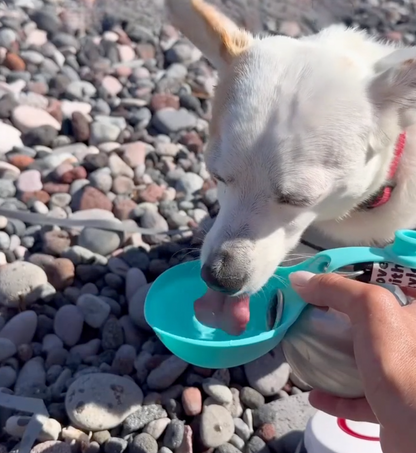 HydroPaw™ Portable Dog Bottle