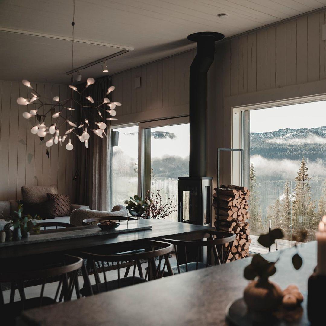 Branching LED Chandelier with Acrylic Petals Black Finish 20W Integrated Light Dimmable Remote Option Modern Statement Fixture Indoor Living
