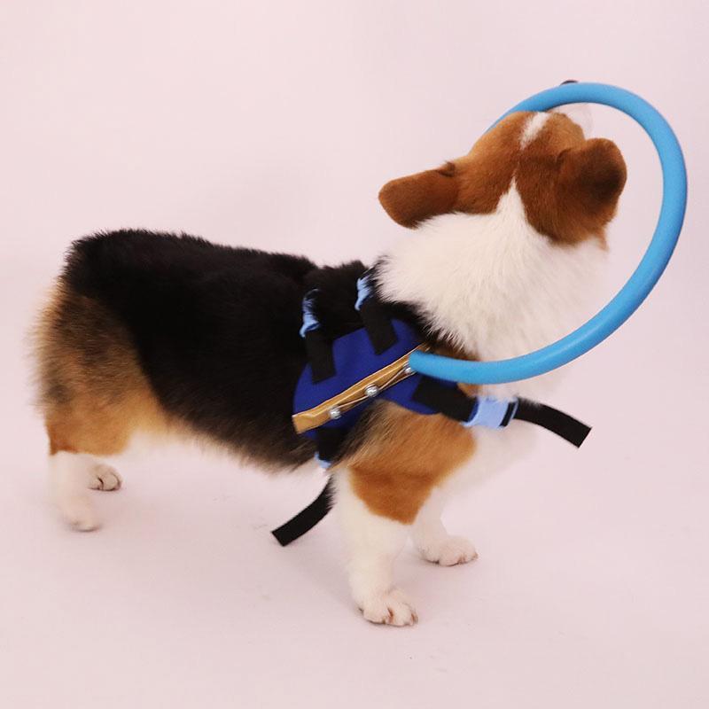 BrightGuide | Bumper Collar Harness for Blind Dogs with Lightweight Design | Safe Mobility for Daily Walks