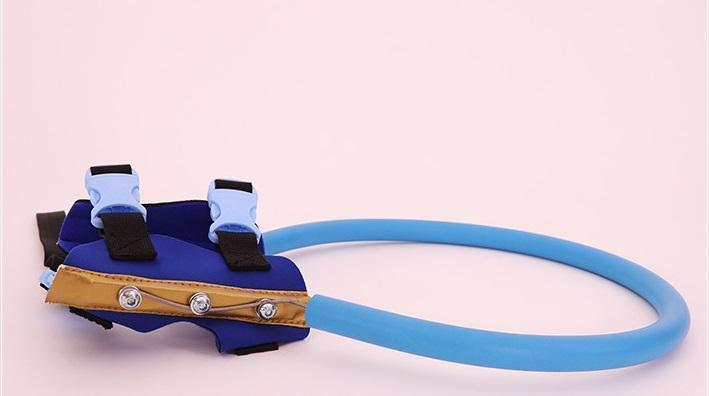BrightGuide | Bumper Collar Harness for Blind Dogs with Lightweight Design | Safe Mobility for Daily Walks