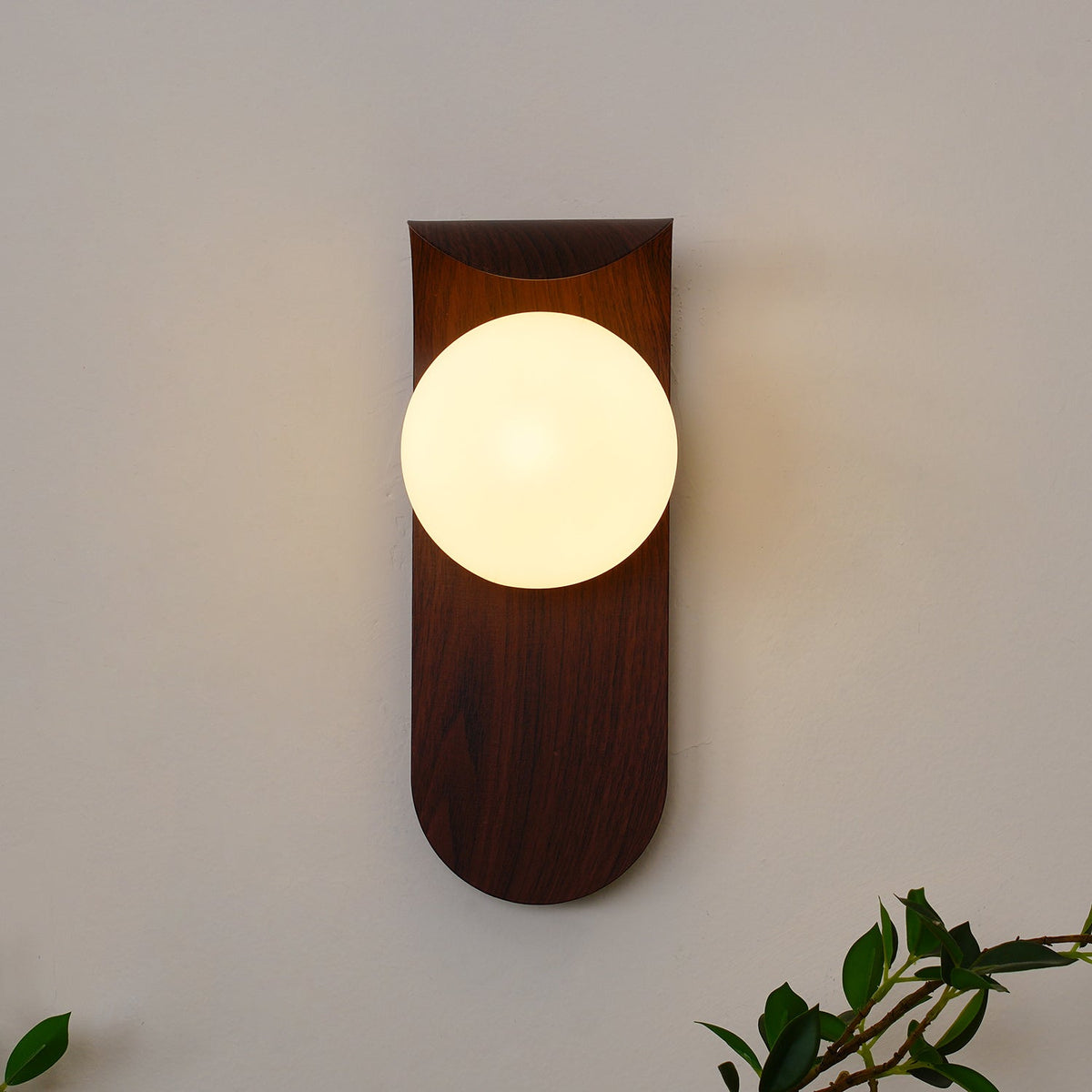Contemporary Wood-Finish Wall Sconce with Glass or Acrylic Globe Shade for Living Room & Bedroom