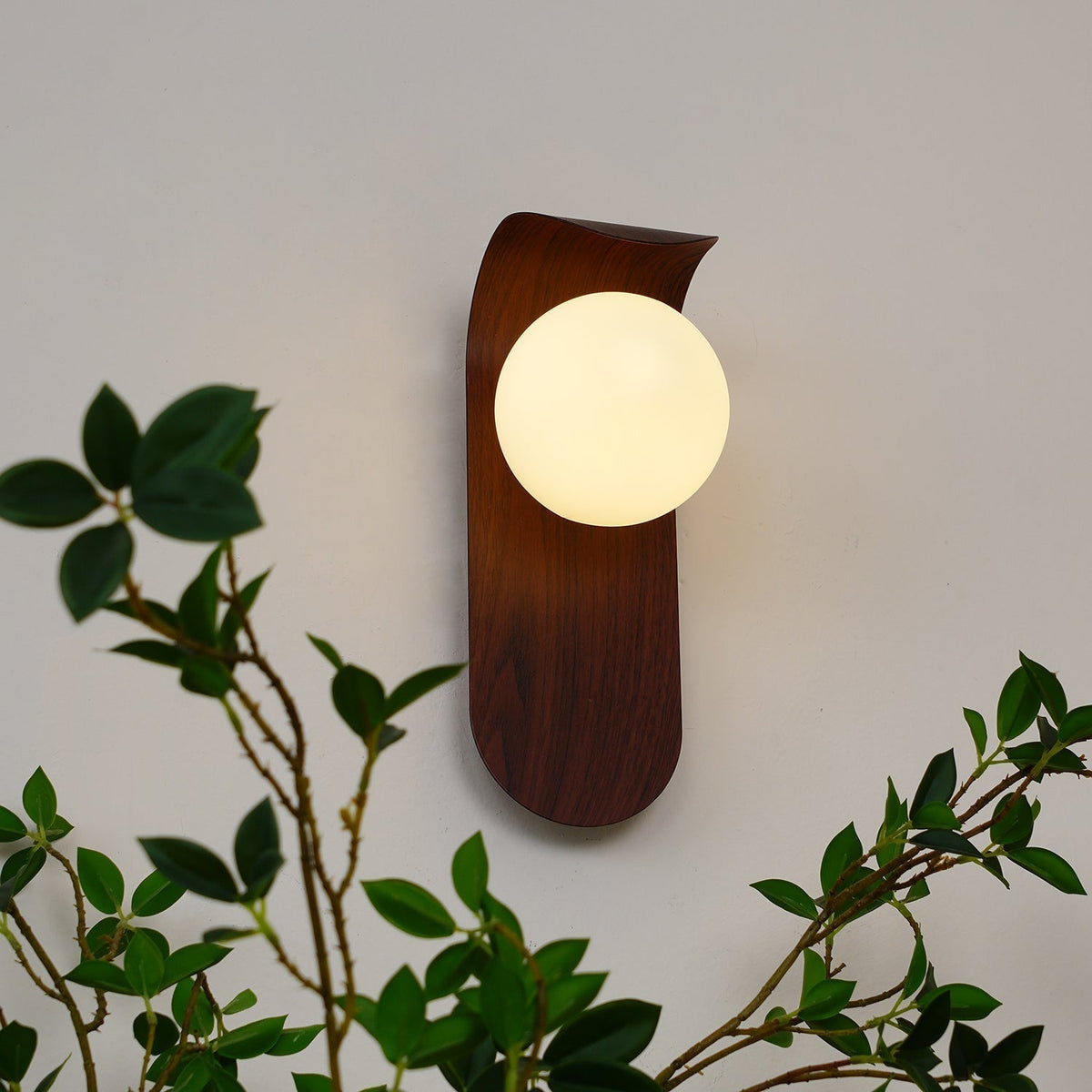 Contemporary Wood-Finish Wall Sconce with Glass or Acrylic Globe Shade for Living Room & Bedroom
