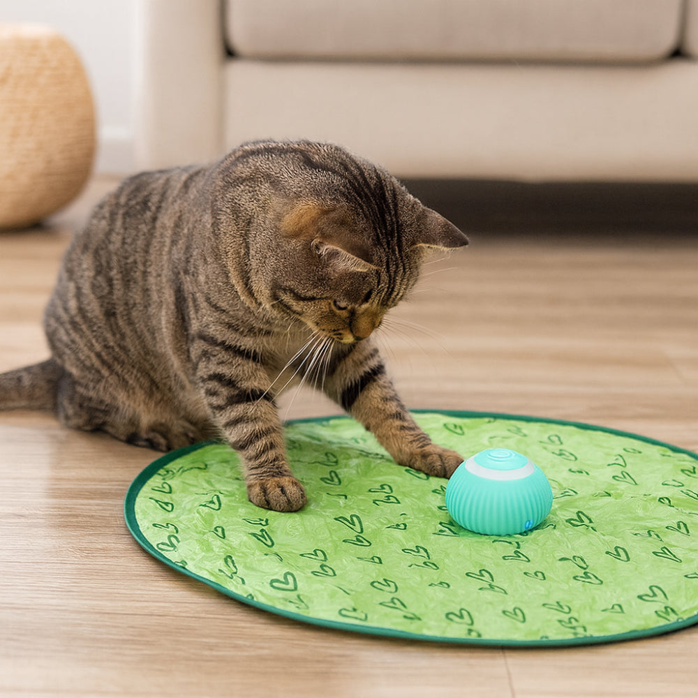 Interactive Cat Toy Play Mat with Chase Ball for Engaging Fun