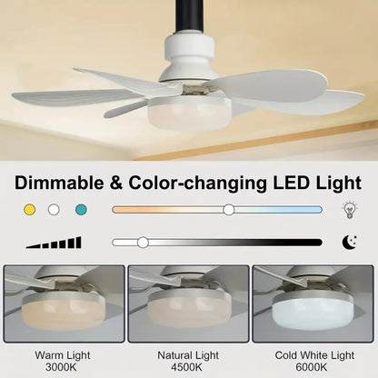 Ceiling Fans with Lights | Portable Fan & Light Combo with Remote Control | Easy Installation for Instant Comfort