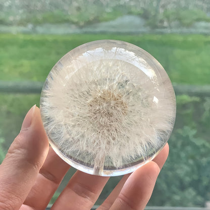 Celeste Decorative Glass Ball - Art Deco Sphere with Dandelion Fluff