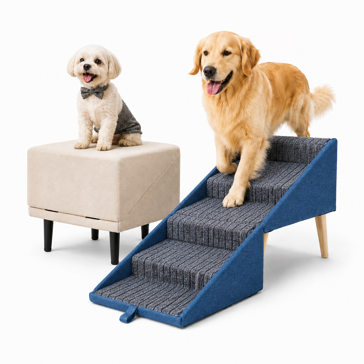 Solutions de mobilité pour animaux | Rampe et escaliers pour chiens avec surface antidérapante | Conception pliable pour un accès facile aux lits et aux voitures