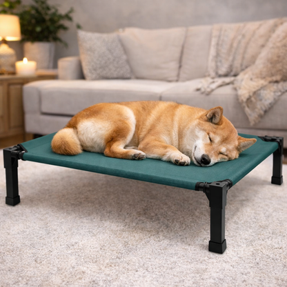 Elevated Dog Bed with Breathable Mesh Fabric & Chew-Proof Design for Ultimate Comfort