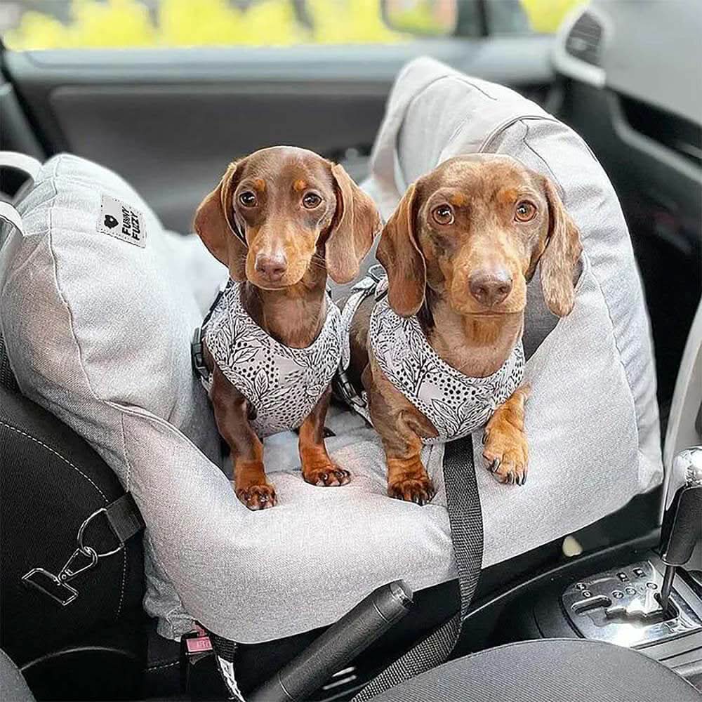 Comfort Pet | Siège-lit pour chien avec ceintures de sécurité réglables et base antidérapante | Idéal pour les voyages et la maison