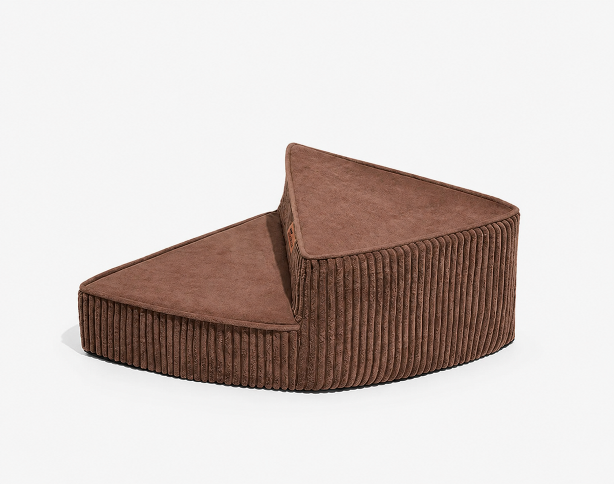 Rampe pour chien pour lit | Rampe orthopédique antidérapante pour animaux avec design stable | Accès facile pour chiens de petite taille et âgés