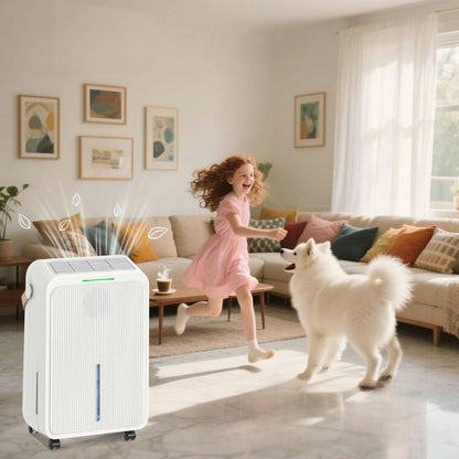 Compact Dehumidifier for Basement | 34 Pint Moisture Control for Fresh Air