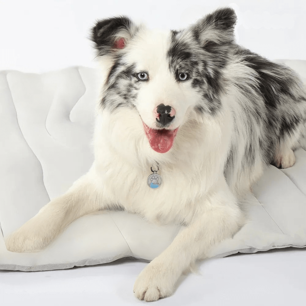CoolPaws | Dog Cooling Mat with Self-Activating Gel for Instant Relief