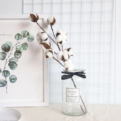 Cotton Branches