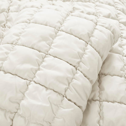 Cozy Haven | Plush Comforter Set with Soft Microfiber Design | All-Season Bedding for Ultimate Comfort