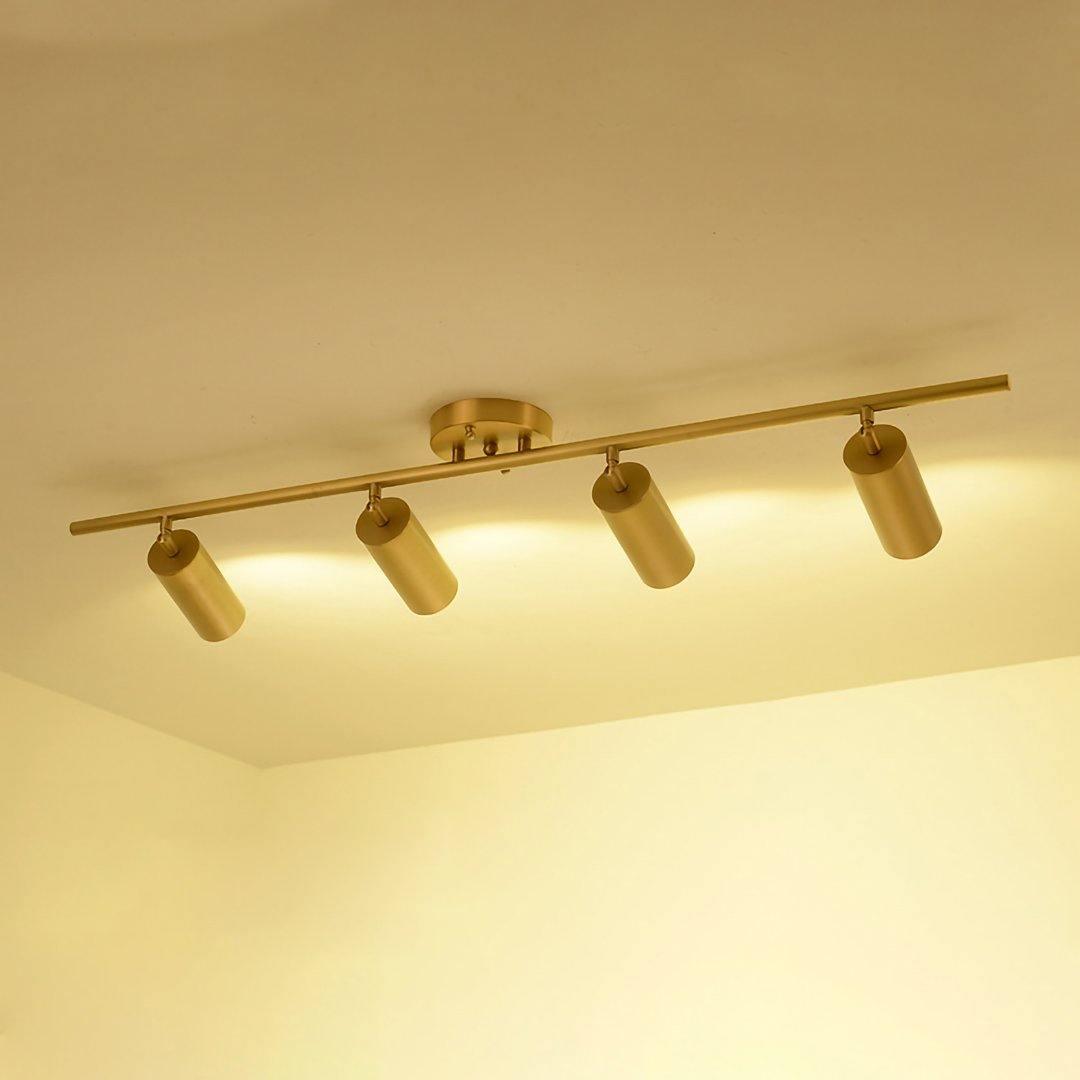 Pivoting Metal Track Spotlight Fixture 350° Swivel Wall & Ceiling Mount LED Accent Light for Living Room Bedroom Kitchen Gallery Art Display