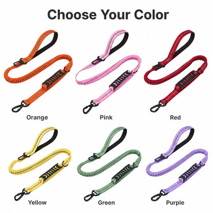 2-In-1 Reflective & Shock-Absorbing Dog Seat Belt Leash