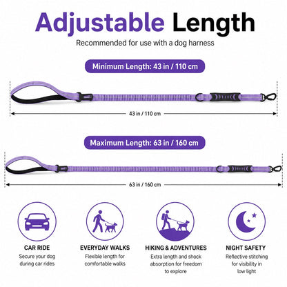 2-In-1 Reflective & Shock-Absorbing Dog Seat Belt Leash
