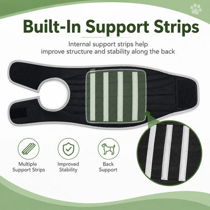 Adjustable Breathable Back Support Vest (Long-Backed Breeds)